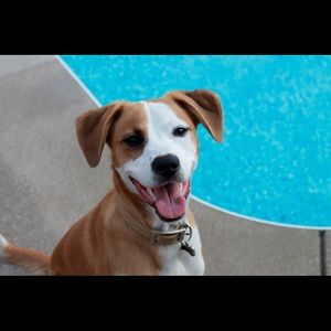 Meet your Posher, Haley